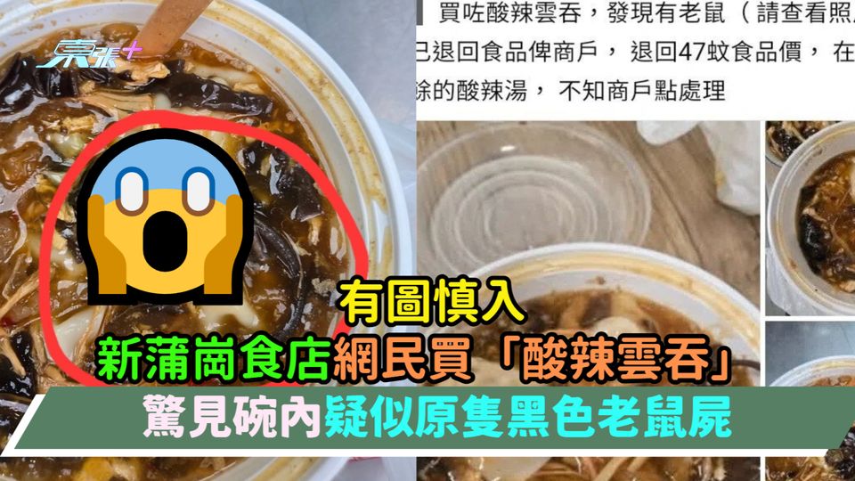 有圖慎入 | 新蒲崗食店網民買「酸辣雲吞」 驚見碗內疑似原隻黑色老鼠屍