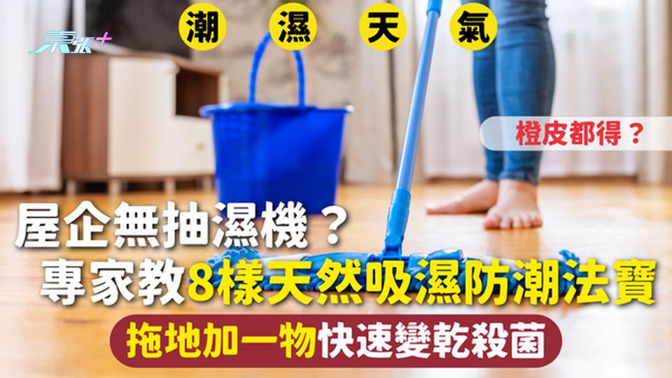 家居潮濕 | 屋企無抽濕機？ 專家教8樣天然吸濕防潮法寶橙皮都得？ 拖地加一物快速變乾殺菌