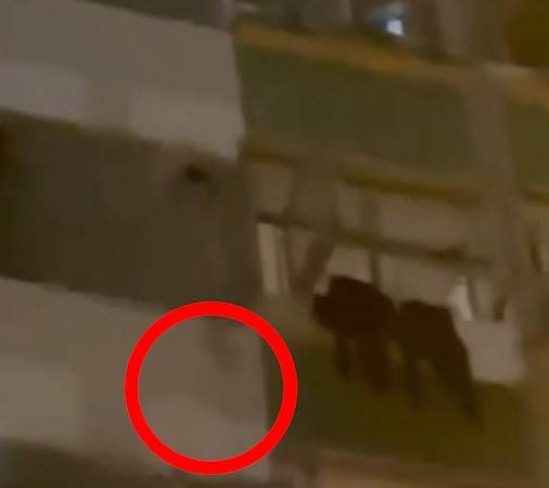 大窩口邨女子高空擲物「掟摺凳車仔落街」。(FB@荃灣 大窩口邨 葵涌邨)