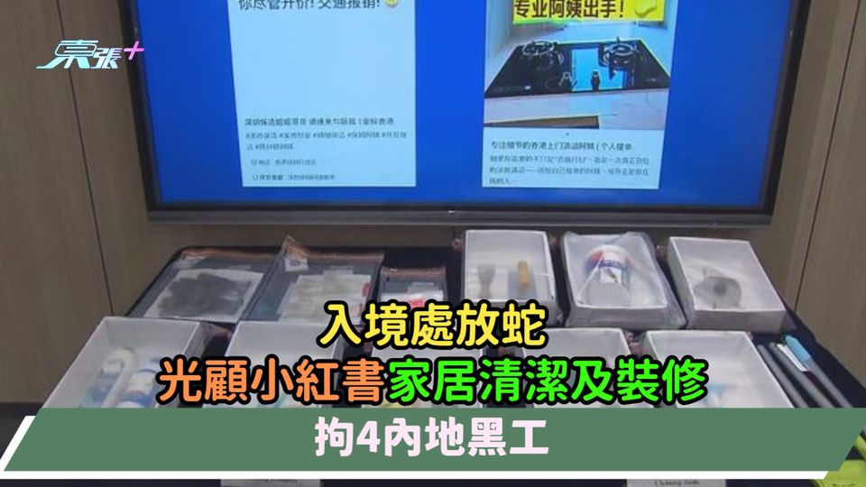 入境處放蛇光顧小紅書家居清潔及裝修  拘4內地黑工
