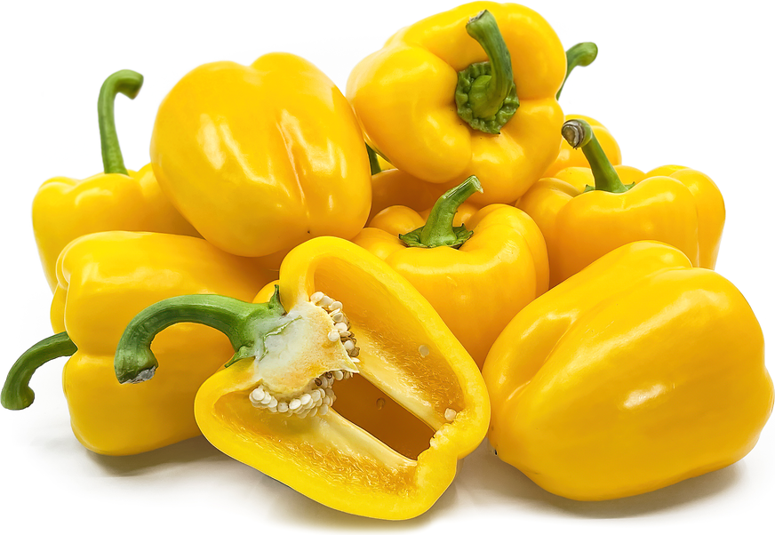 Yellow Holland Bell Peppers Information and Facts
