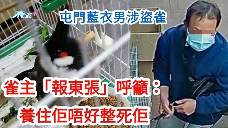 天眼直擊｜屯門藍衣男盜雀鳥 雀主「報東張」呼籲：養住佢唔好整死佢 - 東張+