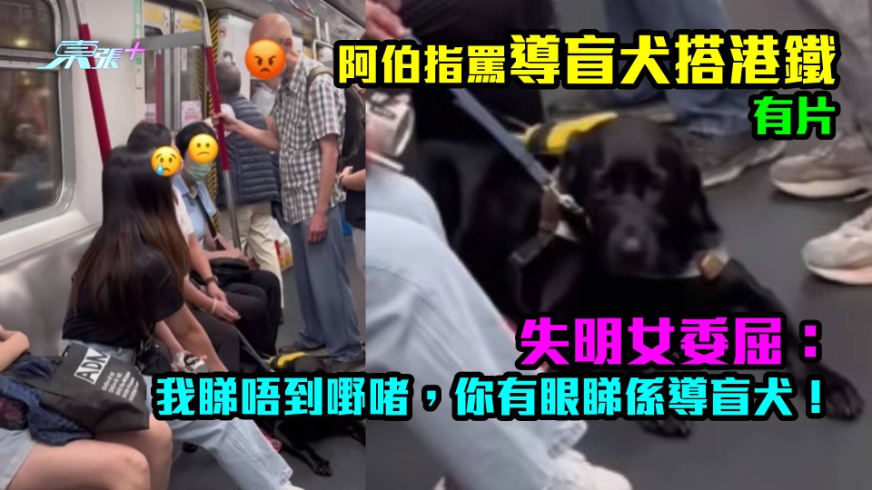 有片｜阿伯指罵導盲犬搭港鐵　失明女委屈：我睇唔到嘢啫，你有眼睇係導盲犬！