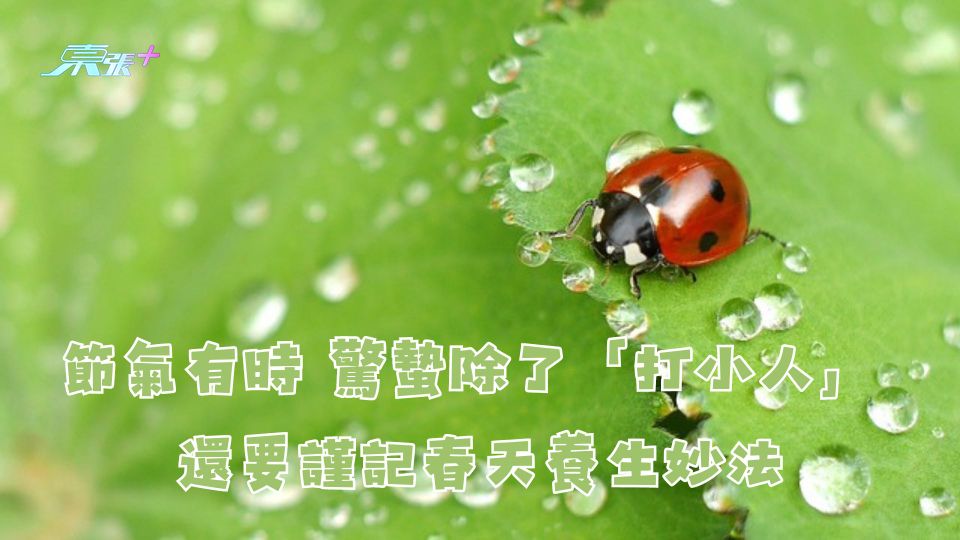節氣有時｜驚蟄除了「打小人」 還要謹記春天養生妙法