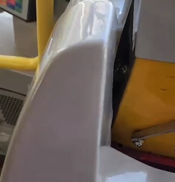 巴士「不速之客」坐霸王車　蛇仔上車嘆冷氣　網民揭原來為港原生物種