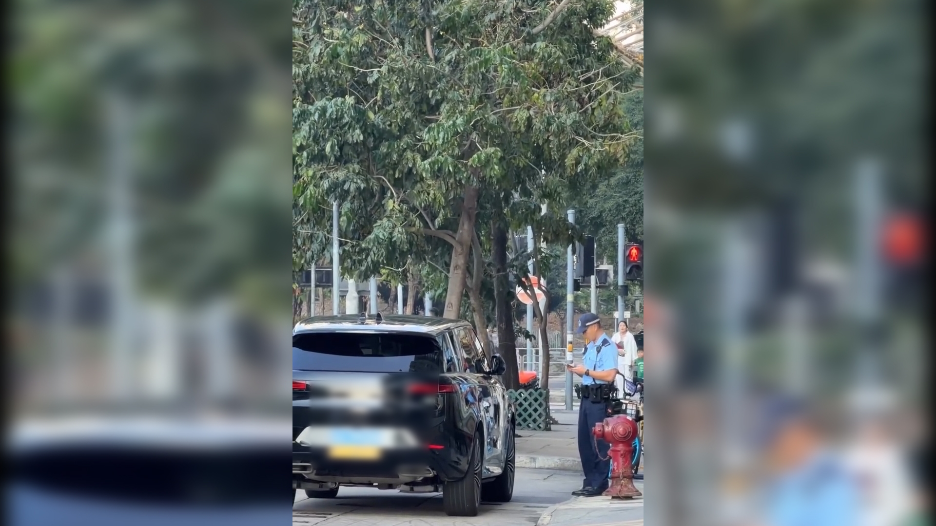 粵車南下｜內地司機來港亂泊車停馬路被警員「抄牌」　網民：多謝貢獻香港