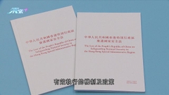 特首就黎智英案提請人大釋法 陳弘毅指釋法為解決爭議最後手段