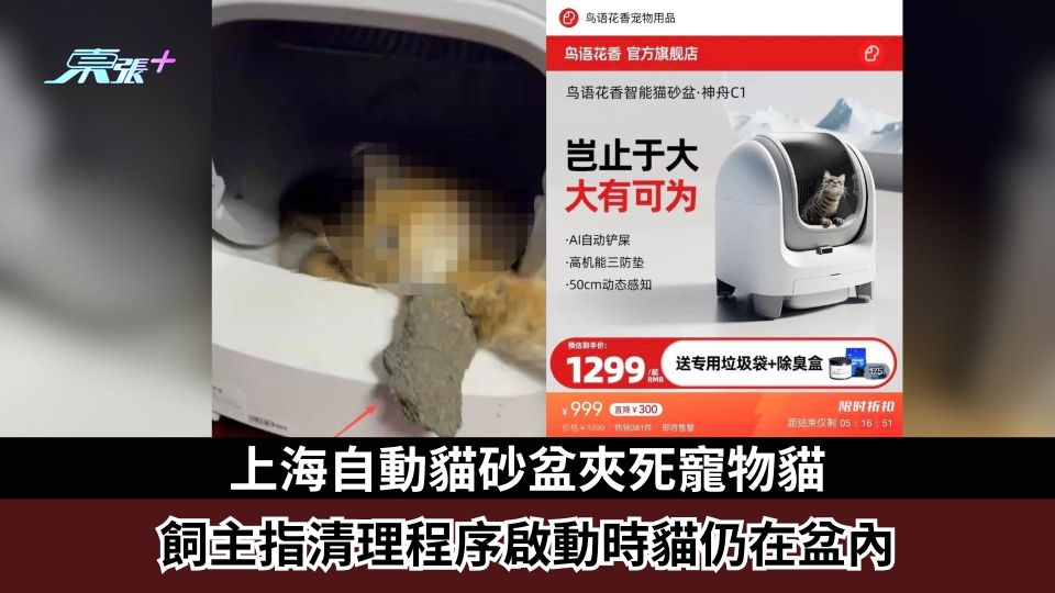 上海自動貓砂盆夾死寵物貓　飼主指清理程序啟動時貓仍在盆內