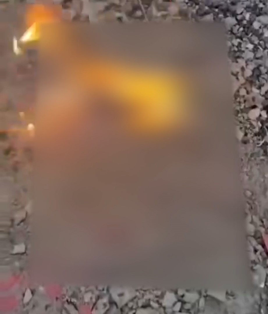 內地多個貓義工及動物救援微信群組突遭不明人士湧入，他們發送大量涉及虐打、焚燒、肢解，甚至性侵貓隻的影片、照片。（網上影片截圖）