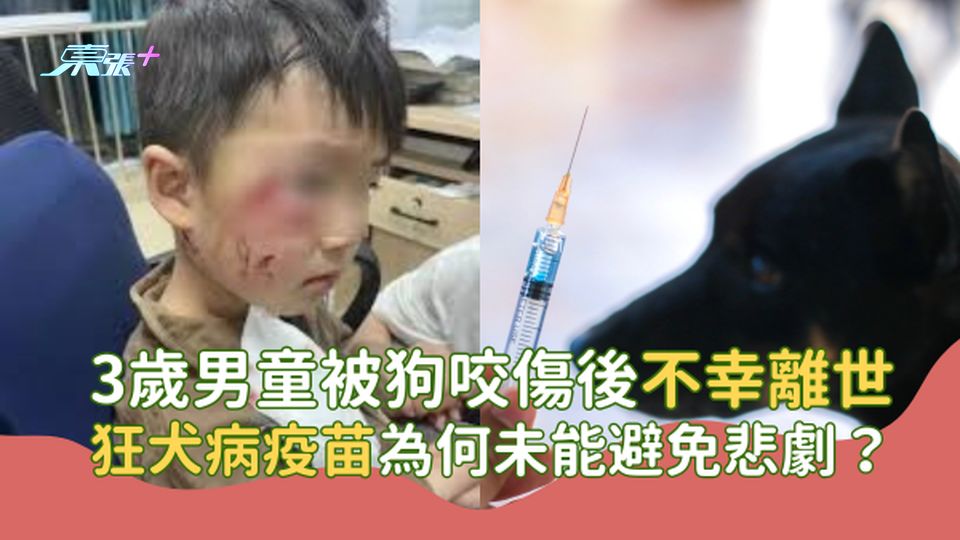 3歲男童被狗咬傷後不幸離世，狂犬病疫苗為何未能避免悲劇？