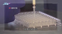 《刺針》報告指於美國溯源新冠時遭阻撓 仍未能確認病毒源頭