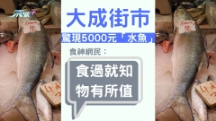 大成街市驚現5000元「水魚」食神網民：食過就知物有所值