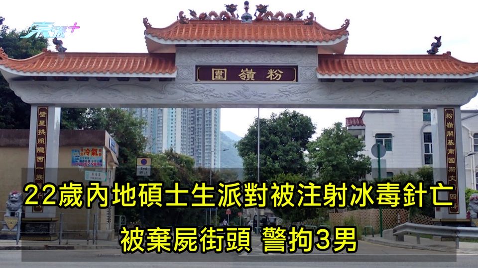 22歲內地碩士生派對被注射冰毒針亡 被棄屍街頭 警拘3男