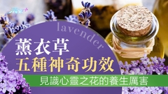 薰衣草五種神奇功效 見識心靈之花的養生厲害 