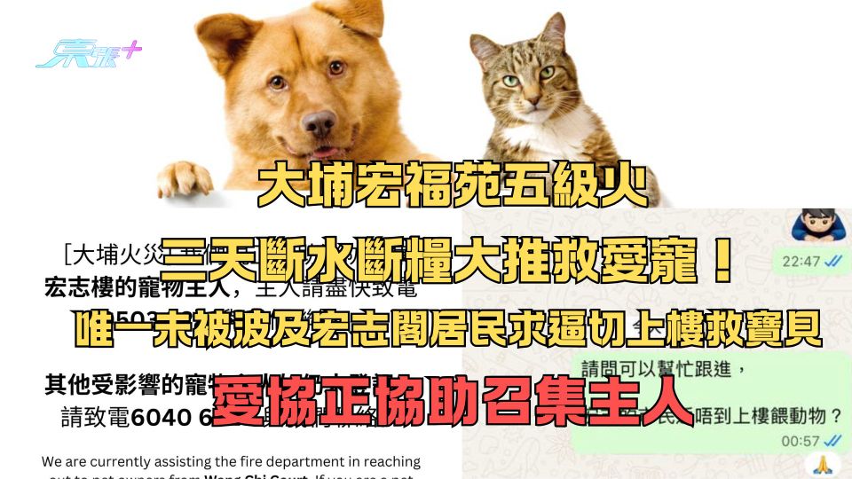大埔宏福苑五級火｜三天斷水斷糧大推救愛寵！唯一未被波及宏志閣居民求逼切上樓 愛協正協助召集主人