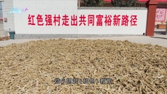 山西太原有支前模範村發展紅色旅遊 成功帶動村民脫貧