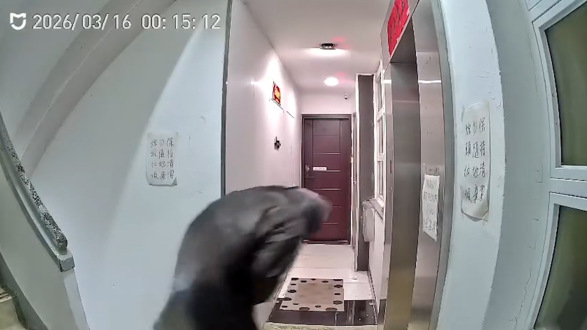 天眼直擊｜黑色雨衣赤腳男偷Beyond「二樓後座」門牌　鬼鼠轉掛盜版門牌