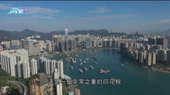 有物業顧問行籲撤非香港居民買家印花稅 鼓勵專才來港置業