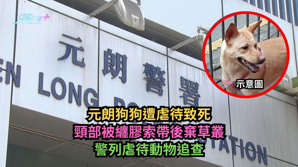 元朗狗狗遭虐待致死　頸部被纏膠索帶後棄草叢　警列虐待動物追查