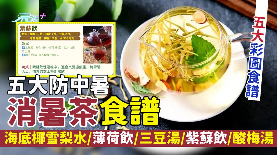 消暑｜五大防中暑消暑茶食譜 海底椰雪梨水/金銀花薄荷飲/三豆湯/紫蘇飲/酸梅湯