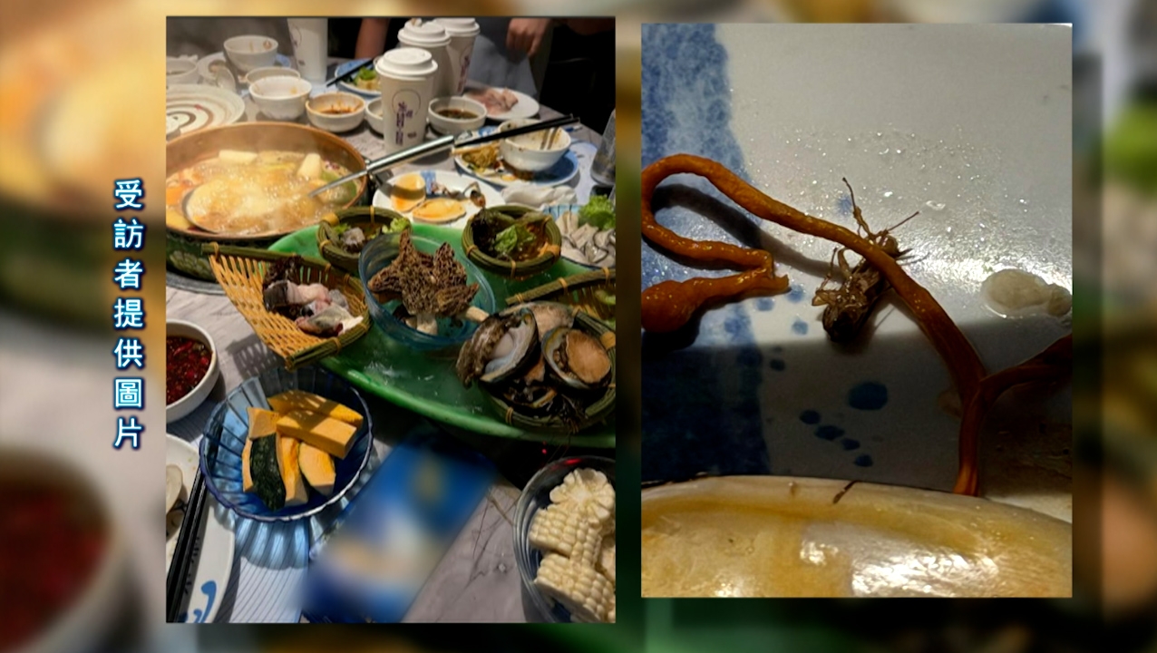 觀眾劉小姐報料，早前與朋友到尖沙咀一間餐廳打邊爐，期間在湯底撈起食物時，發現一隻已死亡反肚的曱甴。