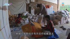 阿富汗地震增至1150人死亡 中方援助糧食全部運抵當地