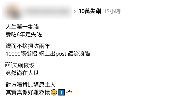 東張西望報料｜原主人養貓6年慘走失　發現被人收養後求還貓