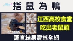 有片｜指鼠為鴨？江西高校食堂吃出老鼠頭 調查結果震撼全網