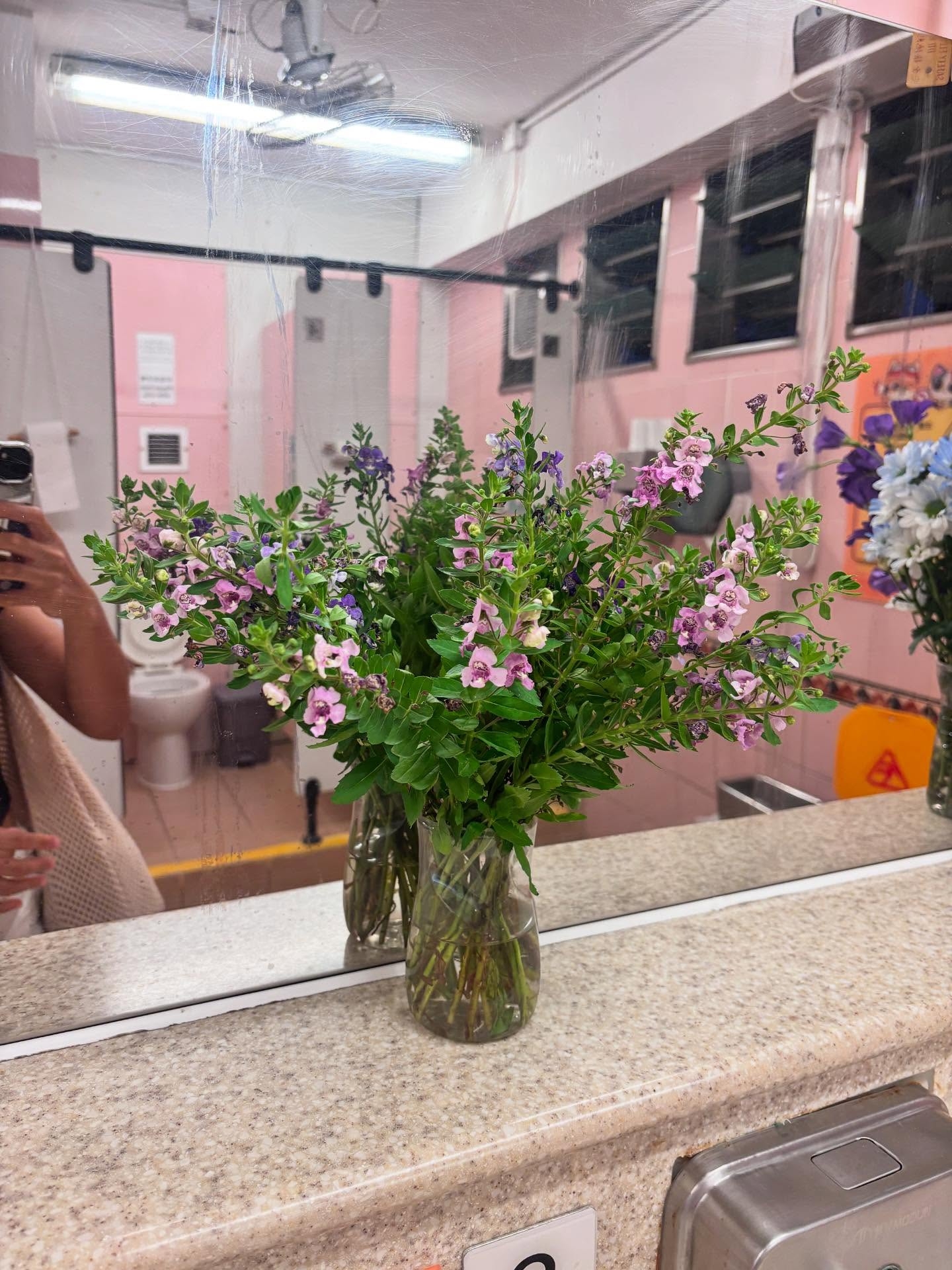 北區公園女廁用心佈置插滿鮮花獲讚「又靚又乾淨」　網民：龍咁威現實版