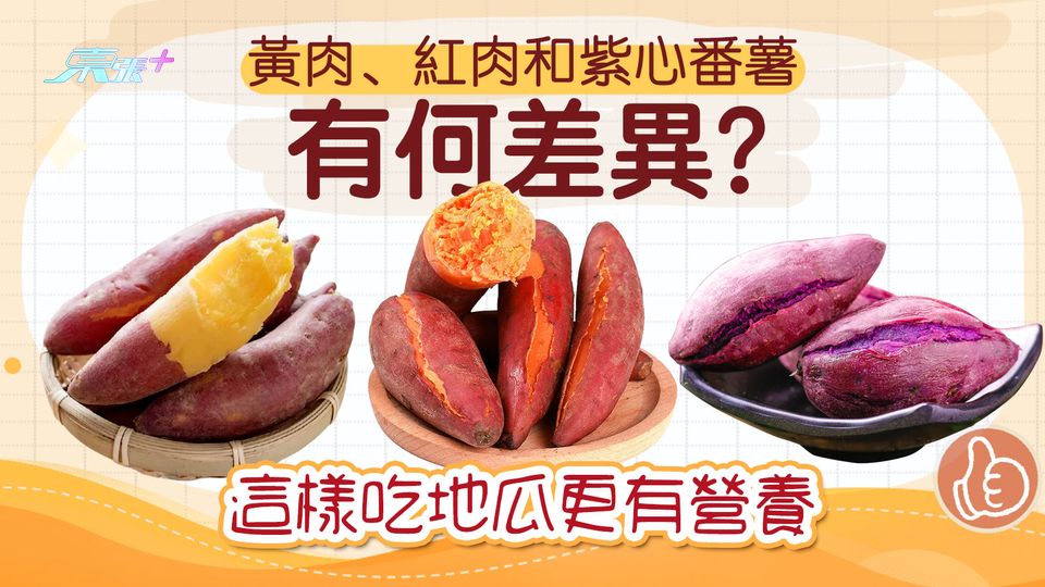 黃肉、紅肉和紫心番薯有何差異?這樣吃地瓜更有營養