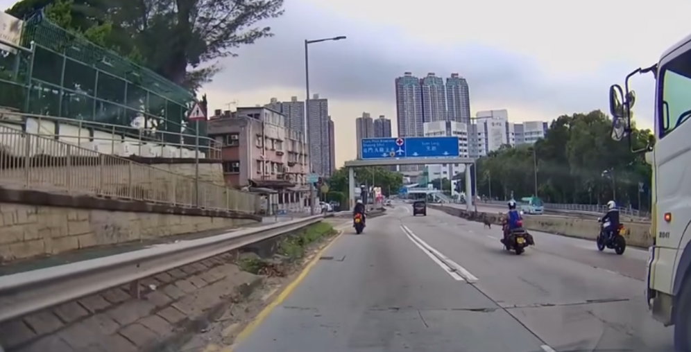 車Cam直擊|青山公路好心鐵騎士護送流狼狗 網民大讚:人間有愛
