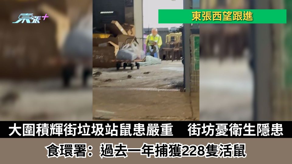 東張西望跟進｜大圍積輝街垃圾站鼠患嚴重　街坊憂衛生隱患　食環署：過去一年捕獲228隻活鼠