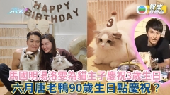 馬國明湯洛雯恩愛為貓主子Tino慶祝3歲生日 六月唐老鴨90歲生日點慶祝？