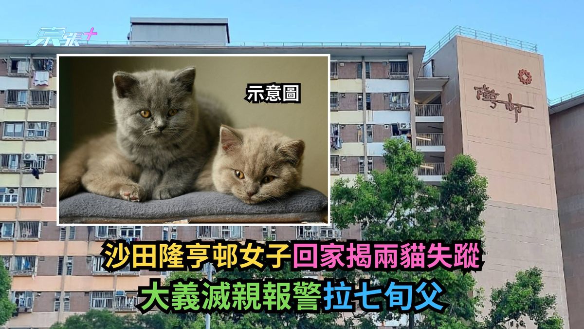 沙田隆亨邨女子回家揭两爱猫失踪　大义灭亲报警拉七旬父-东张+