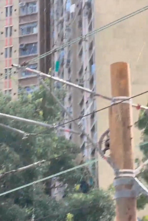 屯門山景邨驚現「落冰雹」奇景　街坊拍片稱好恐怖：八月飛霜