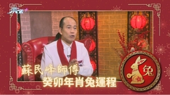 蘇民峰師傅 癸卯年肖兔流年運程 