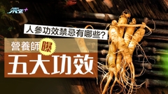 人參功效禁忌有哪些？營養師揭五大養生效用