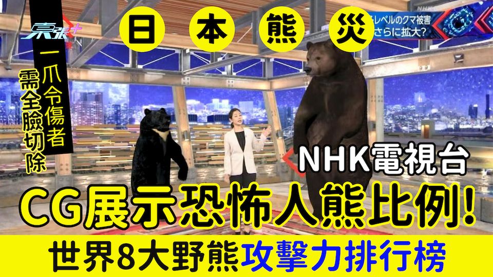 日本熊災｜NHK CG展示恐怖人熊比例！世界8大野熊攻擊力排行榜 一爪令傷者需全臉切除