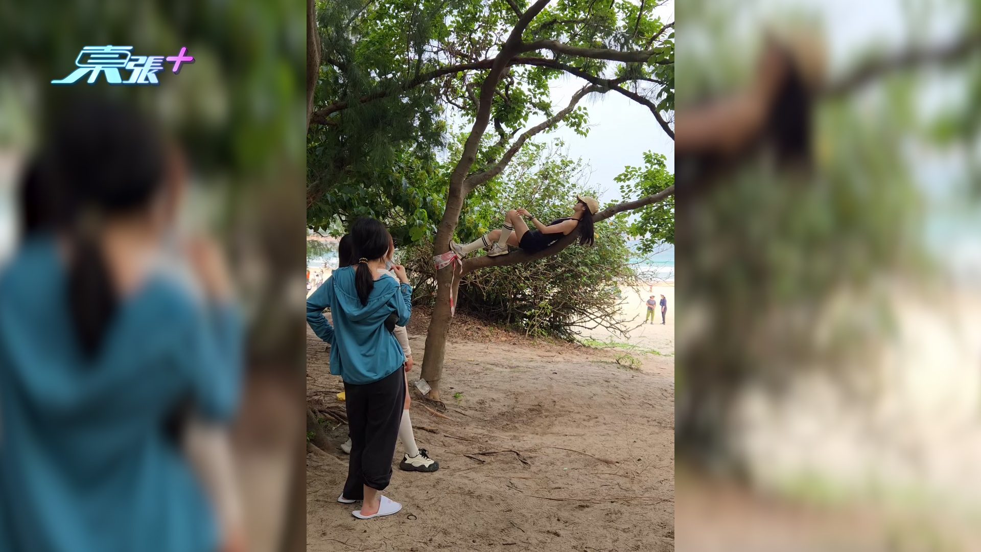 西貢浪茄灣內地客爬樹「抱樹打卡」　樹枝折斷市民勸阻無人理：扮聽唔到 （threads@mj.food.daily/）