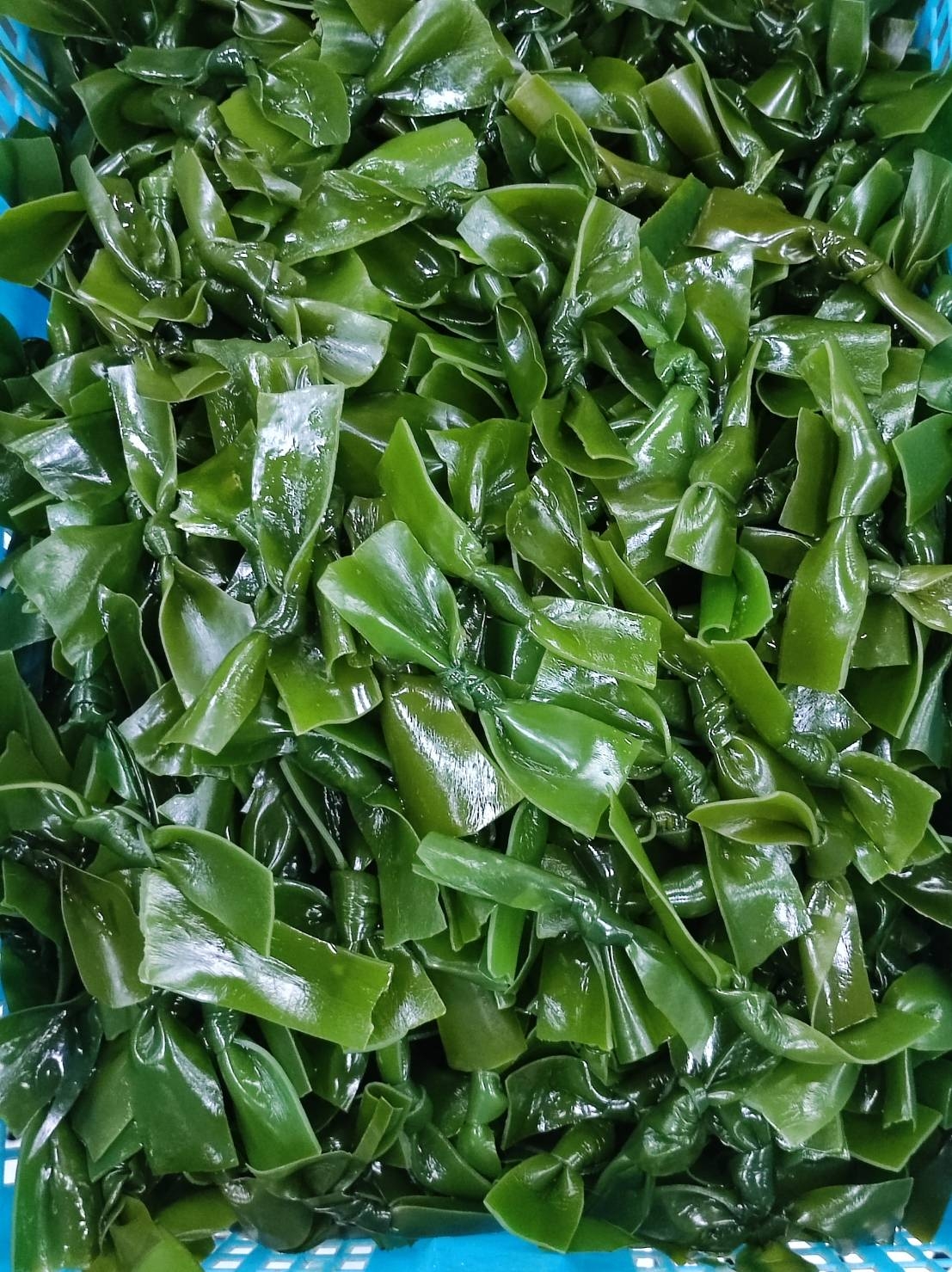 No photo description available.