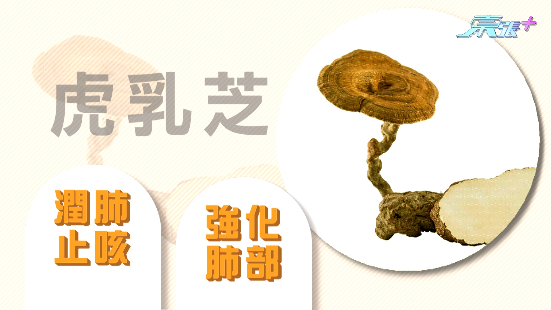 他表示，久咳其實有許多成因，其中包括呼吸道的「黏膜」受損，特別在傷風感冒病後，或者吸入太多致敏源，導致黏膜容易受破壞，變得更容易受到感染，導致持續的咳嗽，最終形成惡性循環。