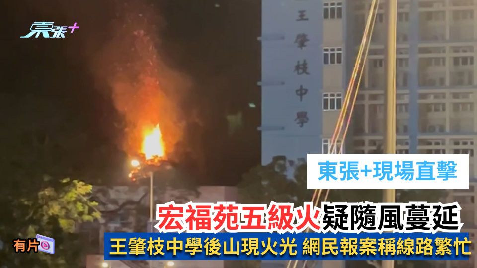大埔宏福苑五級火｜火警疑隨風蔓延 王肇枝中學後山現火光 網民報案稱線路繁忙