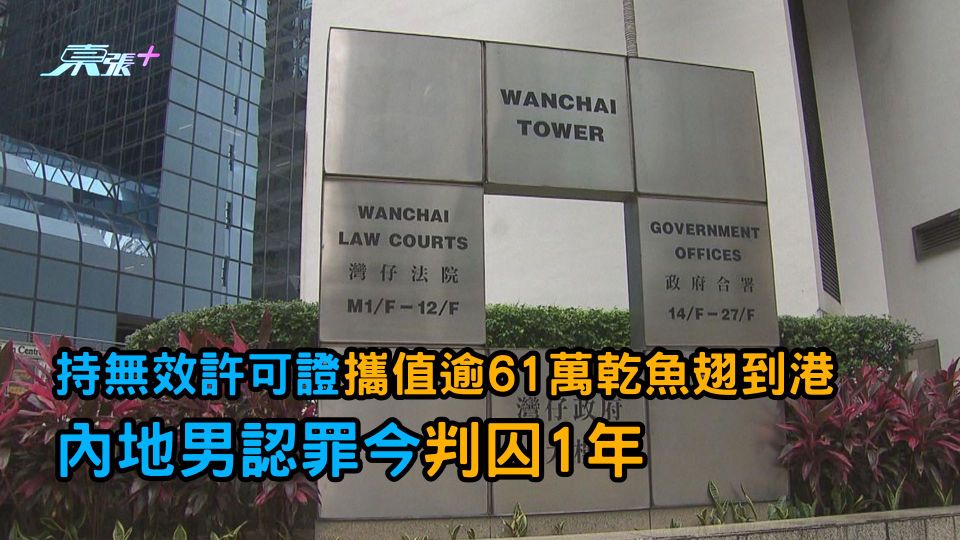 持無效許可證攜值逾61萬乾魚翅到港 內地男認罪今判囚1年