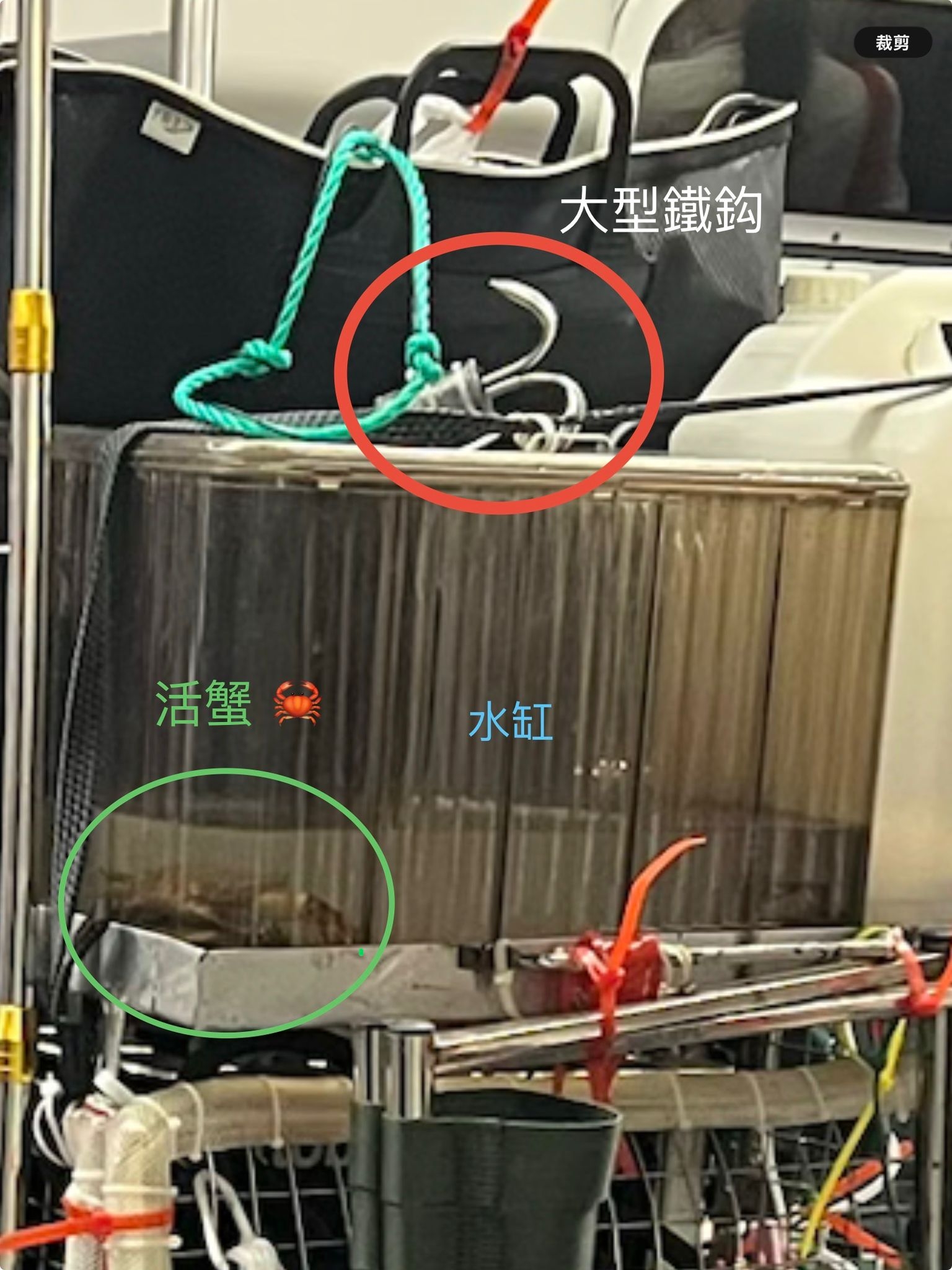 報料觀眾指，這部全副裝備的電動輪椅高度超過一個成年人，車上載有釣魚工具，包括數支魚竿、儲物櫃等，而車身最上方放有一個水缸，在內放置了活蟹。（報料觀眾提供圖片）