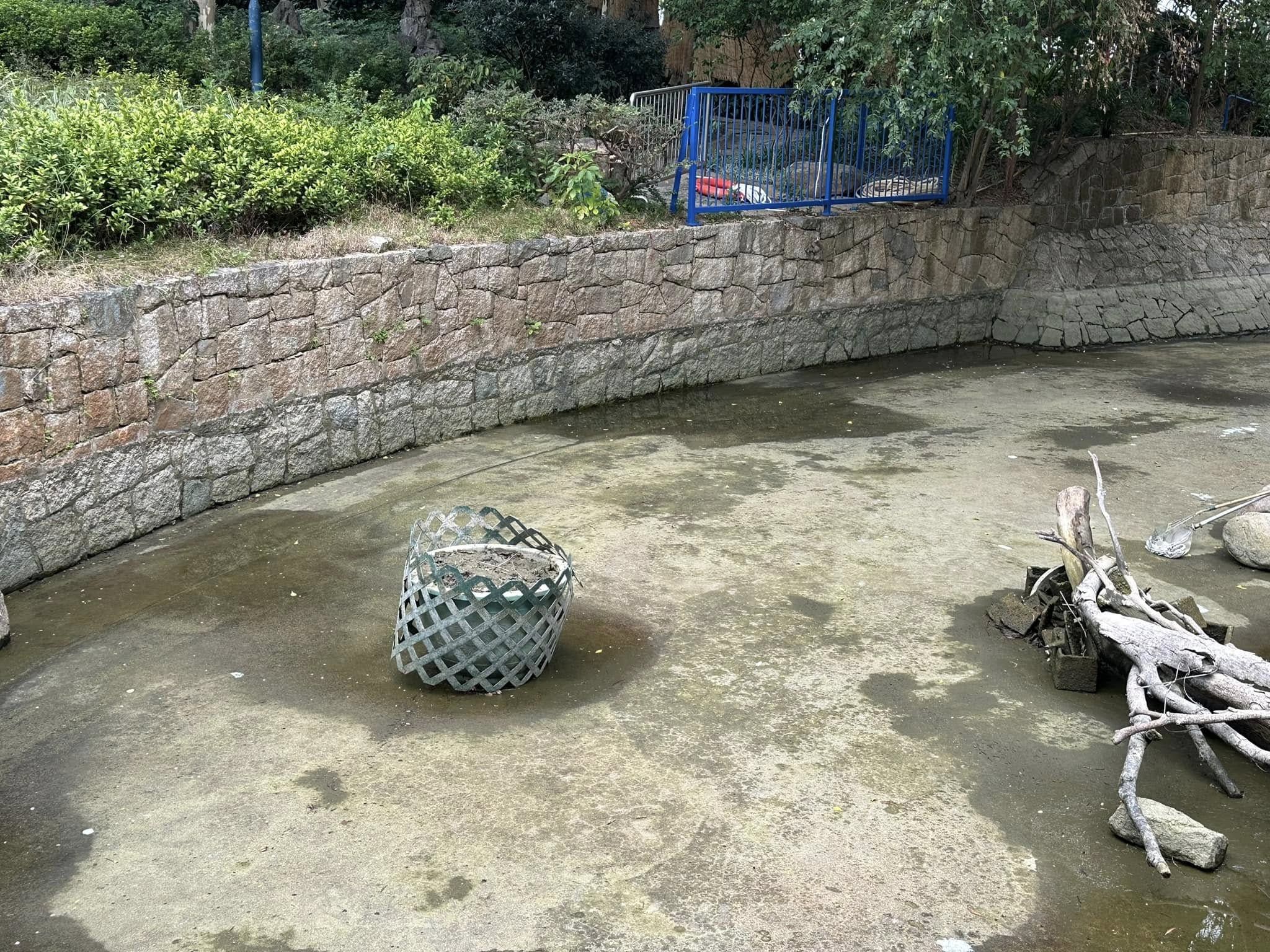 九龍公園水池大清洗「疑抽乾水」，康文署證3條魚缺水慘死。（龜途Facebook）
