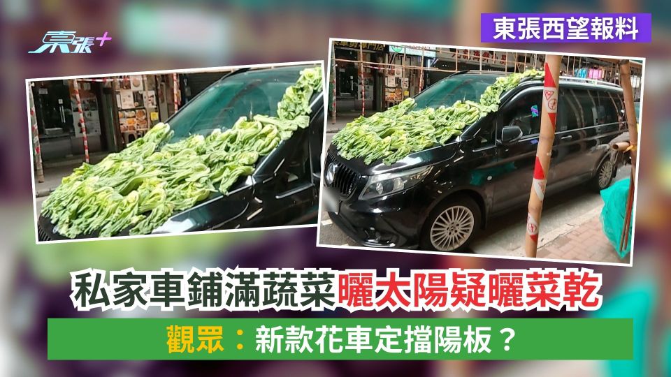 東張西望報料｜私家車鋪滿蔬菜曬太陽疑曬菜乾　觀眾：新款花車定擋陽板？