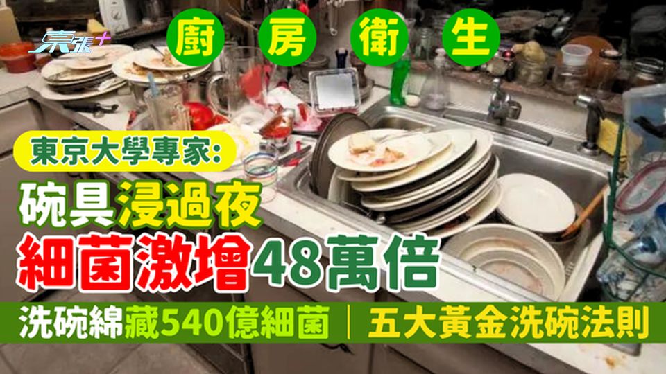 日本專家驚揭：碗具浸過夜🕐細菌激增48萬倍 洗碗綿藏540億細菌🦠｜五大黃金洗碗法則🧼