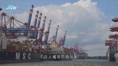 德國訂新政策減依賴中國生產半導體等 中方稱對外資吸引力仍大