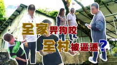 一家四口慘遭惡犬咬傷 全家被惡意圍攻似監倉?