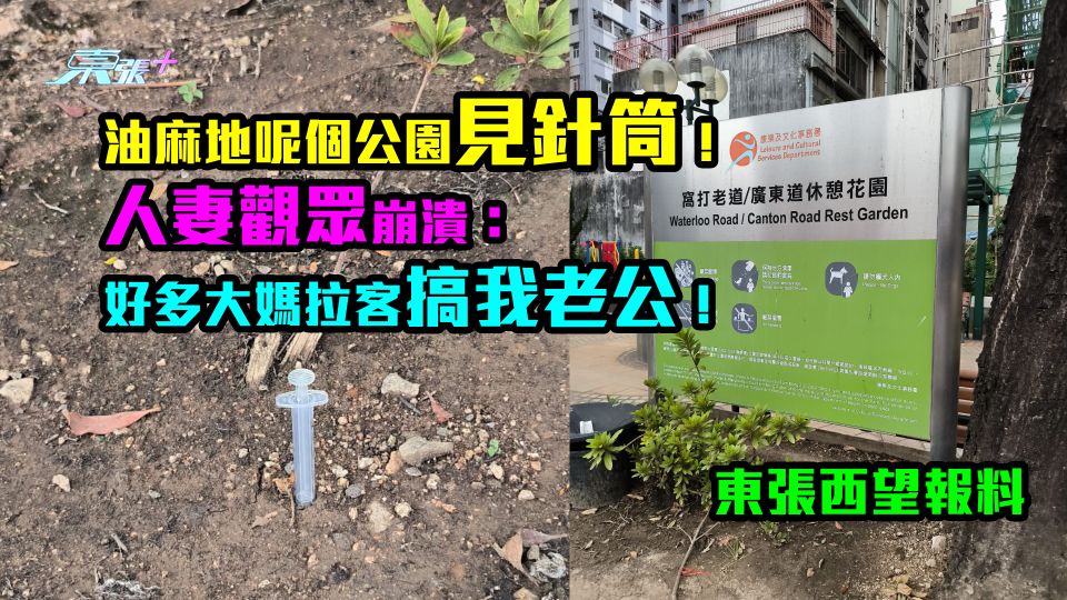 東張西望報料｜油麻地呢個公園見針筒！人妻觀眾崩潰：好多大媽拉客搞我老公！